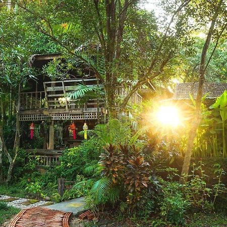 Tongluang Inthanon Homestay โต้งหลวงอินทนนท์โฮมสเตย์ Chom Thong Zewnętrze zdjęcie
