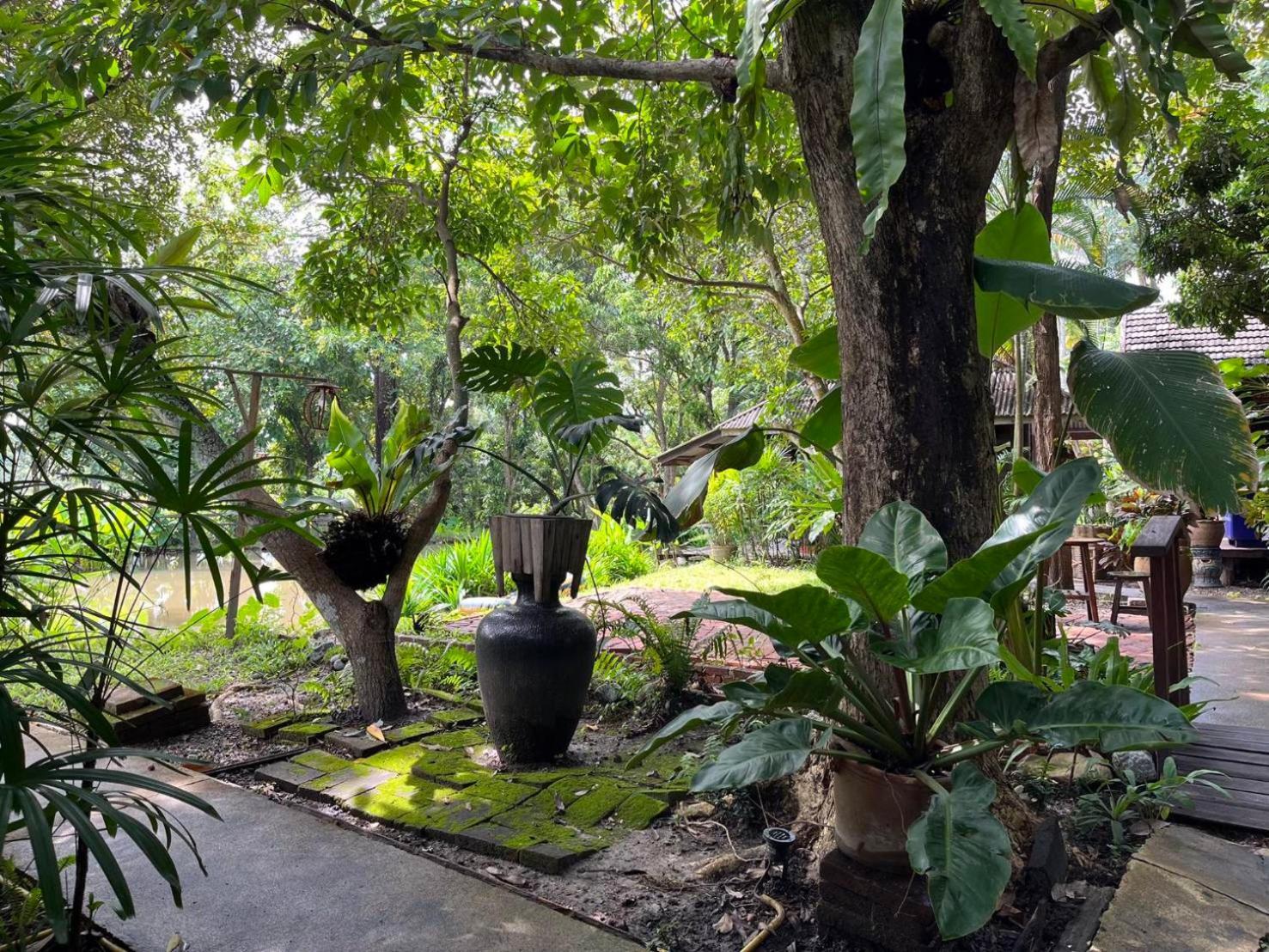Tongluang Inthanon Homestay โต้งหลวงอินทนนท์โฮมสเตย์ Chom Thong Zewnętrze zdjęcie